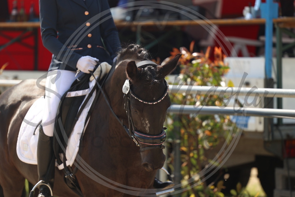 994A7216 | sabrinanicolaifotografie - Realisiert mit Pictrs.com