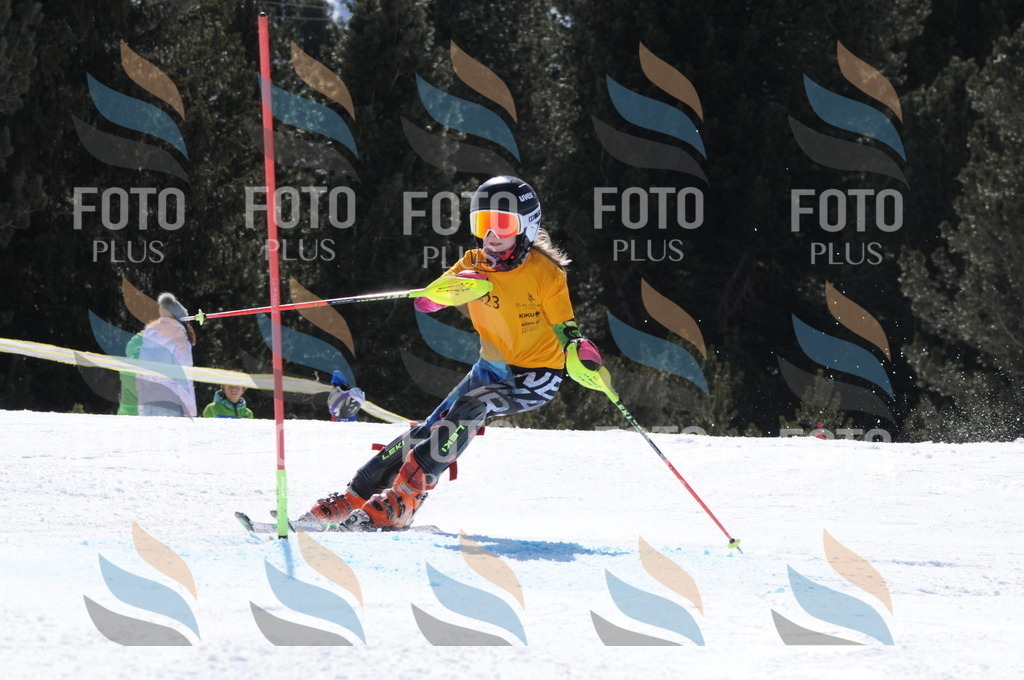 C9234 | holidayphoto