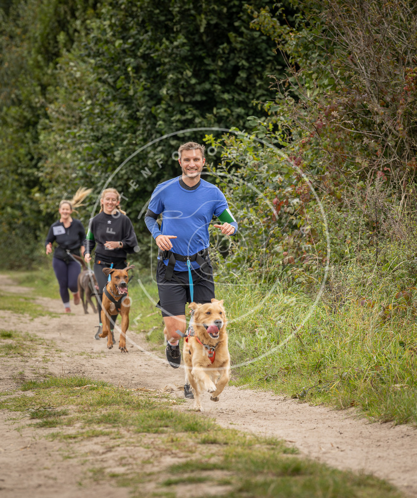 Pfotenfotografie_DV3A7749 | Hundefotografie, Tierfotograf, Pfotenfotografie, Fotoshooting Hund, Hunde Portrait, Hundesport, Hundeportraits, Heideshooting, Hunde, Sportfotograf, Hundefotograf, Turnierhundsport, THS,  - Realisiert mit Pictrs.com