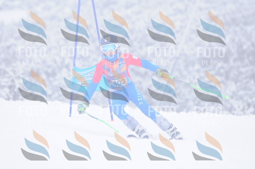 C4235 | holidayphoto