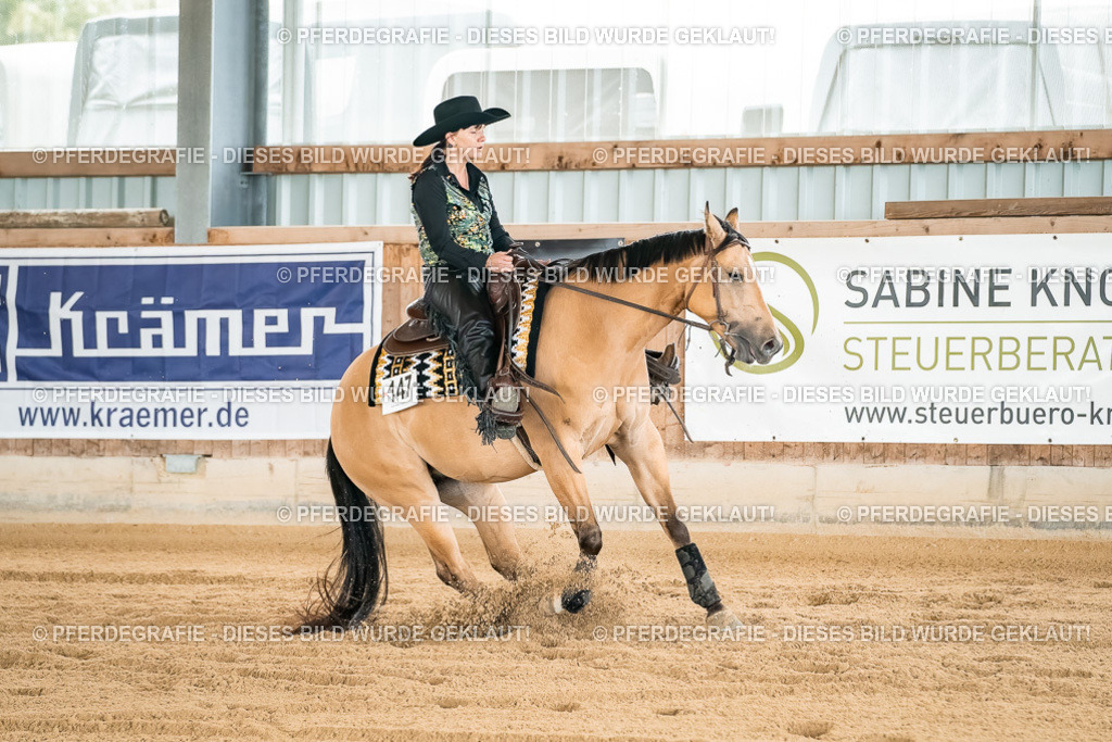 DSC02958 | Pferdegrafie