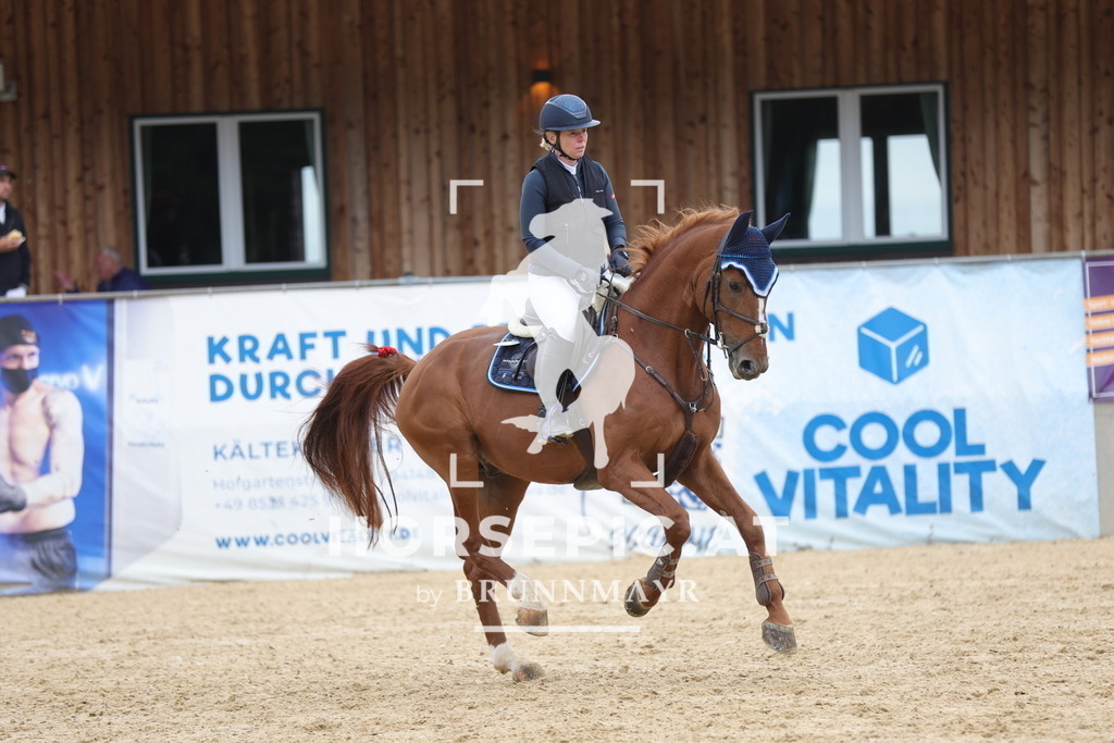 0P6A7115 | Willkommen bei Brunnmayr - Design & Fotografie – Ihrem Spezialisten für Reitturniere und Pferdeveranstaltungen in Oberösterreich, Salzburg und Bayern! Seit über 17 Jahren sind wir leidenschaftlich dabei.