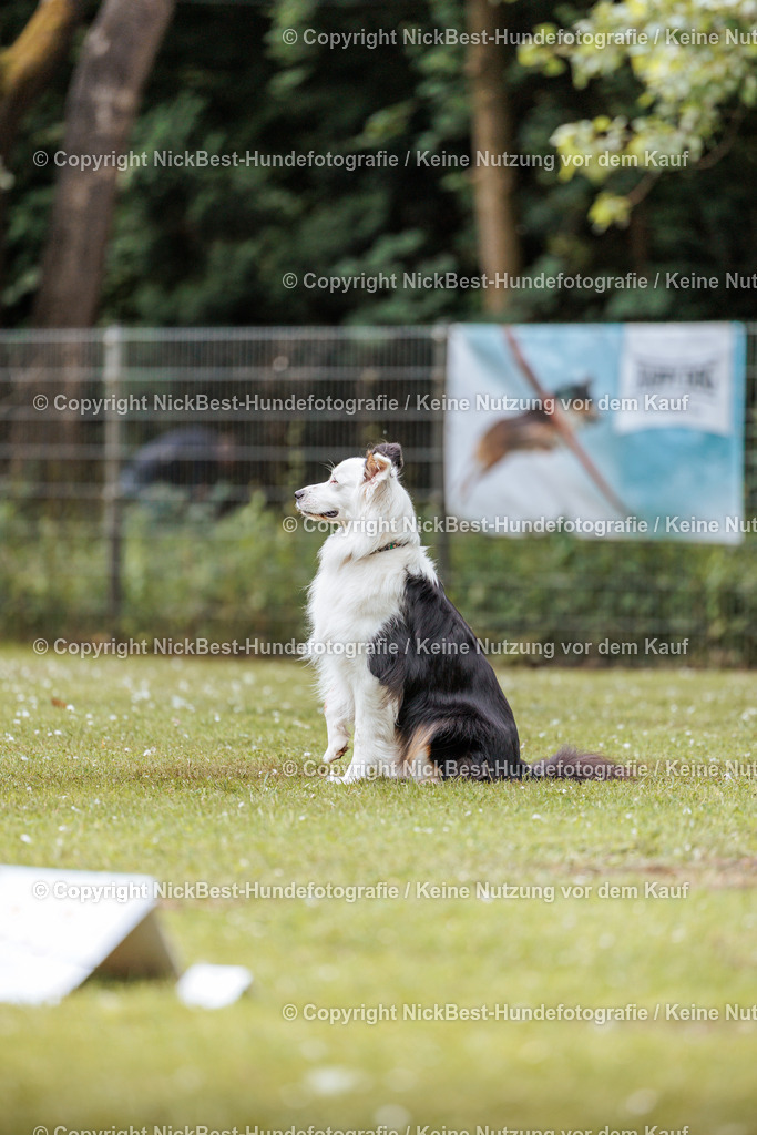 RO-Blumenthal-2026-Nickbest-Hundefotografie-3091 | Dein Hund! Dein Moment! Deine Erinnerungen! Hundefotografie in Bremen Blumenthal. Ich fange die besonderen Momente deines Vierbeiners ein – ob Indoor mit Blitzanlage oder in der freien Natur. Sicher dir dein Moment und dein Termin für eure Erinnerungen.