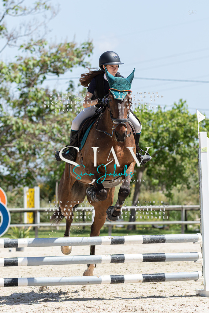 IMG_0493 | s-jay-photography - Realisiert mit Pictrs.com