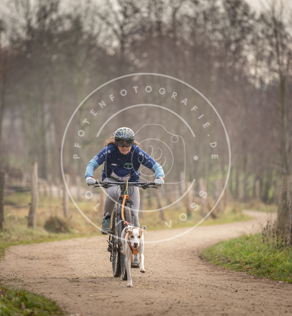 Pfotenfotografie_DV3A1746 | Hundefotografie, Tierfotograf, Pfotenfotografie, Fotoshooting Hund, Hunde Portrait, Hundesport, Hundeportraits, Heideshooting, Hunde, Sportfotograf, Hundefotograf, Turnierhundsport, THS,  - Realisiert mit Pictrs.com