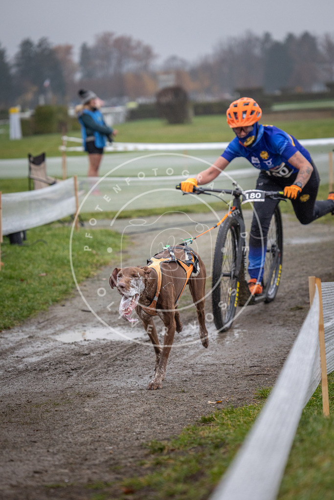 CaniXpix_0L8A0751 | Hundefotografie, Tierfotograf, Pfotenfotografie, Fotoshooting Hund, Hunde Portrait, Hundesport, Hundeportraits, Heideshooting, Hunde, Sportfotograf, Hundefotograf, Turnierhundsport, THS,  - Realisiert mit Pictrs.com