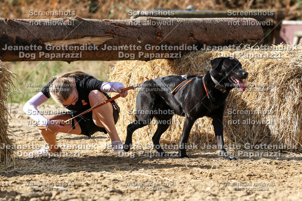 Dog Paparazzi - Strongdog 10-25-4923 | Dog Paparazzi Jeanette Grottendiek Fotografie & Videografie