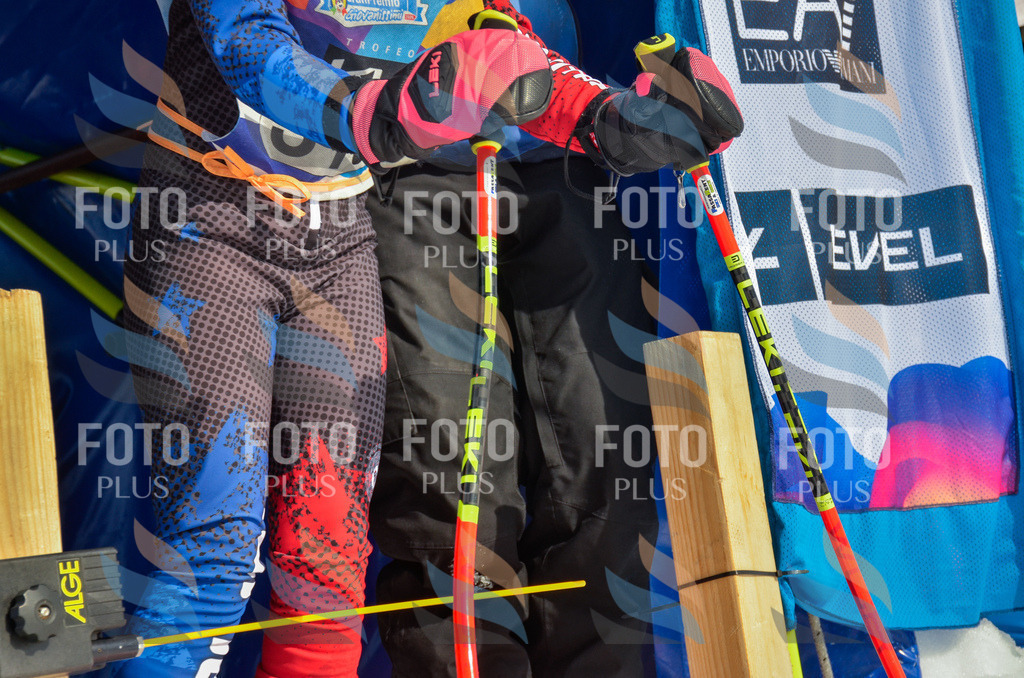 _ELE4341 | holidayphoto