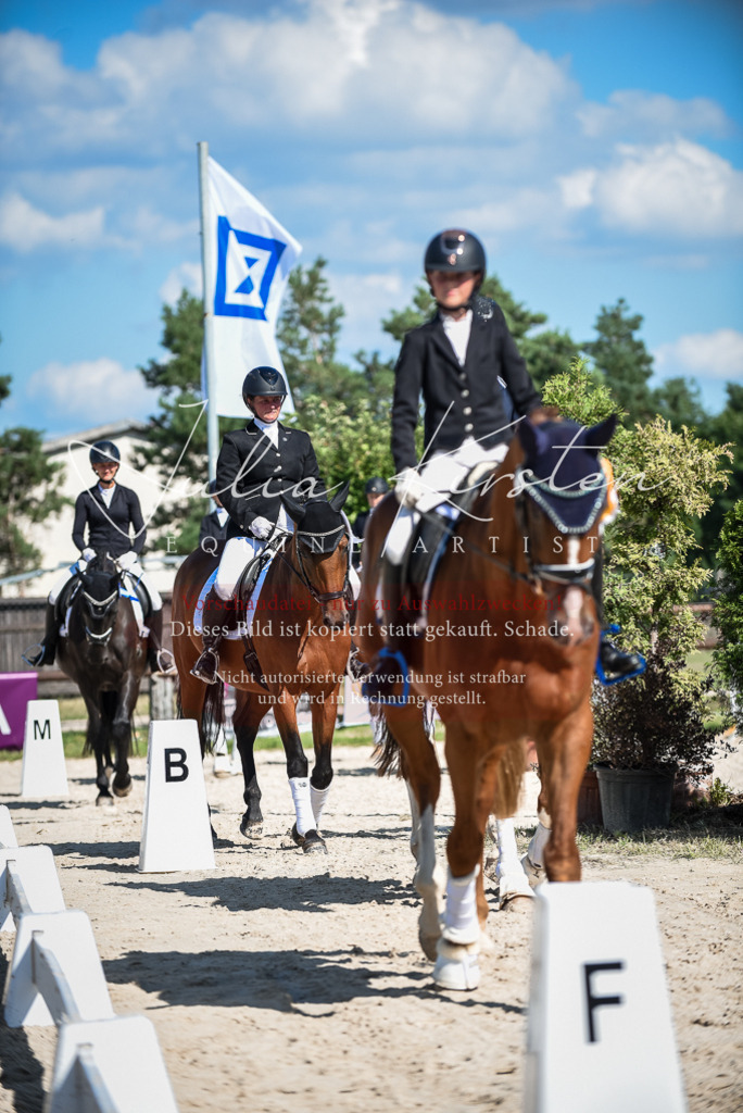 DSC_9712 | Pferde- und Turnierfotografie in Westsachsen. Pferdeportraits, Auftragszeichnungen und intuitive Kunst.