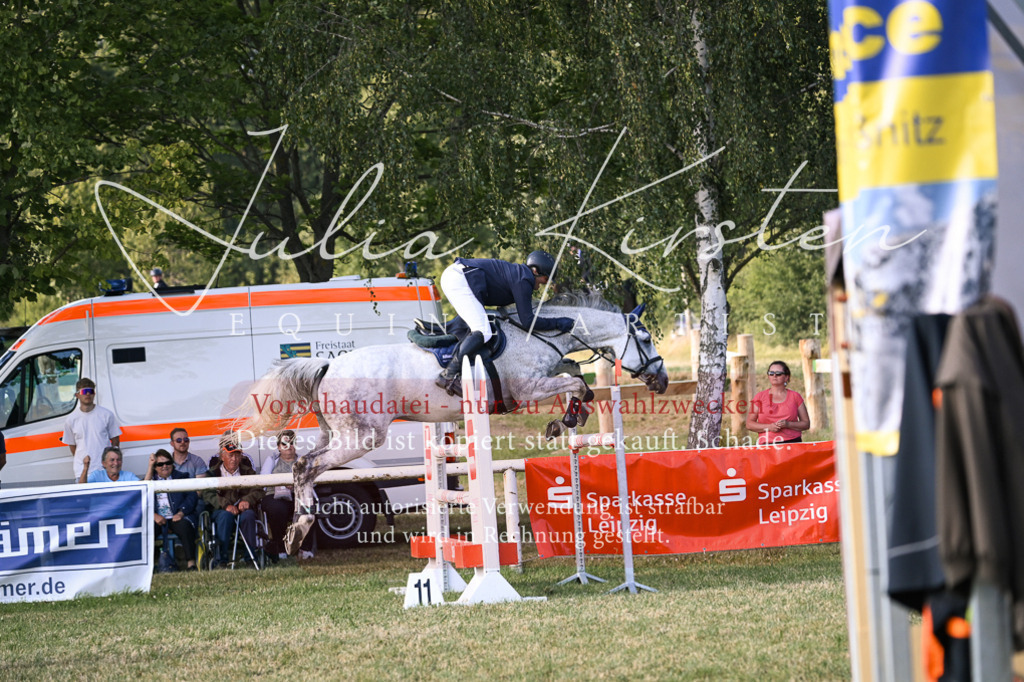 DSC_1736 | Pferde- und Turnierfotografie in Westsachsen. Pferdeportraits, Auftragszeichnungen und intuitive Kunst.