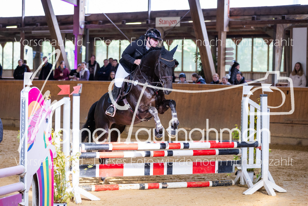 Sth-A-Springen-096 | MomenTaufnahmen Pferdesportfotos