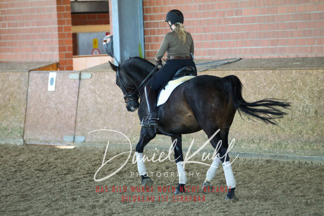 DKP42421 | Turniersportfotografie; Pferdefotografie; Dressurfotografie