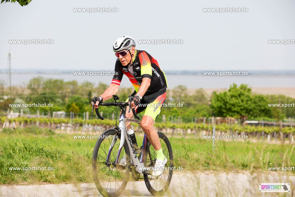 007A5567 | Neusiedler See Radmarathon 2025 #neusiedlerseeradmarathon #yourpictrs #sportshot_your_pictrs @Sportshotphotography Copyright:www.sportshot.de