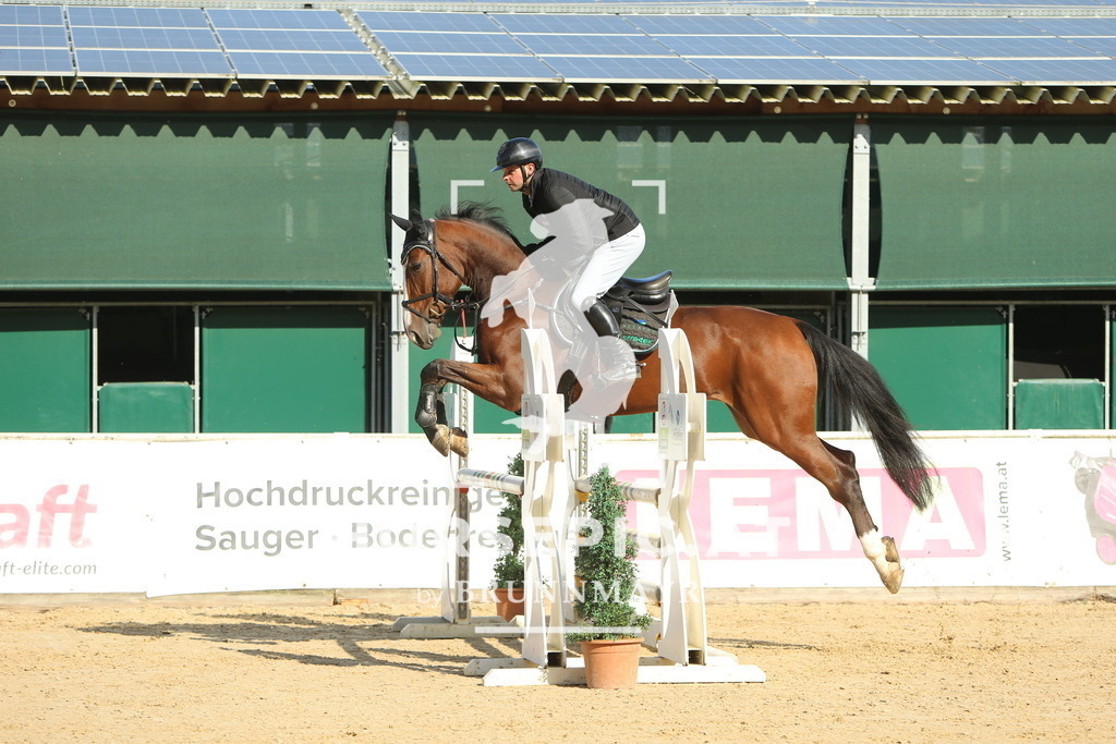 DL2Q4943 | Willkommen bei Brunnmayr - Design & Fotografie – Ihrem Spezialisten für Reitturniere und Pferdeveranstaltungen in Oberösterreich, Salzburg und Bayern! Seit über 17 Jahren sind wir leidenschaftlich dabei.