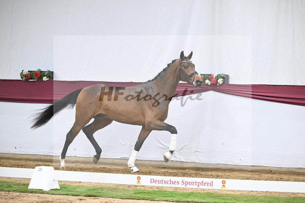 Kat-Nr. 43 Va Pensiero x Secret_Philipp Stuppert_47251524 | hf-fotografie - Realisiert mit Pictrs.com