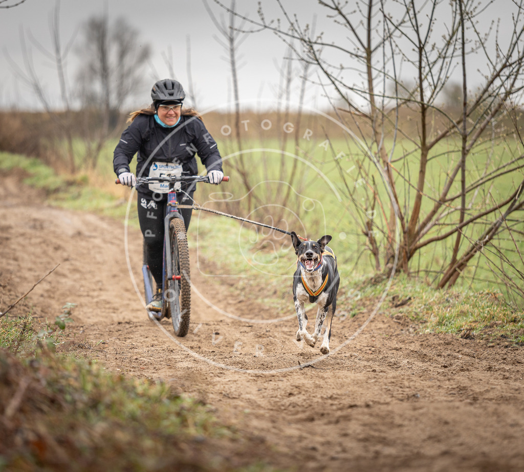 DV3A9249 | Hundefotografie, Tierfotograf, Pfotenfotografie, Fotoshooting Hund, Hunde Portrait, Hundesport, Hundeportraits, Heideshooting, Hunde, Sportfotograf, Hundefotograf, Turnierhundsport, THS,  - Realisiert mit Pictrs.com