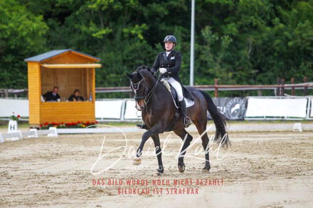 DKP48026 | Turniersportfotografie; Pferdefotografie; Dressurfotografie