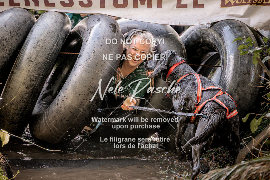 nelerasche_Hunsrück2026_Sa1400-1500_416 | nelerasche