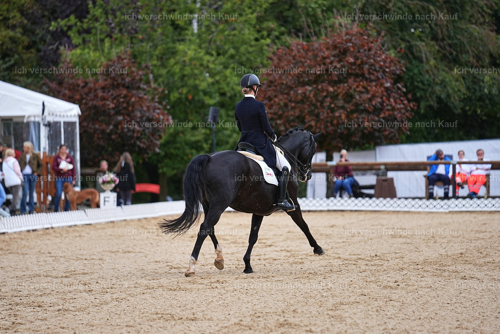8_1-077-Klasse S_  -Marixx-4062 | working equitationturnier fotograf videograf stoibphotography marixx film working equitation deutschland reitsport turnierfotografie eventfotografie equestrian events