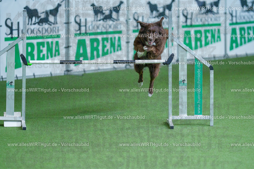@allesWIRTHgut_Tierfotografie - www.allesWIRTHgut.de - 2604261355-7R502976 | Professionelle Tierfotografie in Mönchengladbach von Daniel Wirth (allesWIRTHgut). Liebevolle & natürliche Bilder von Hunden & Katzen für unvergessliche Erinnerungen.