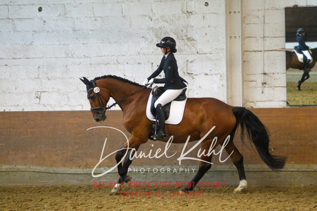 DKP43619 | Turniersportfotografie; Pferdefotografie; Dressurfotografie