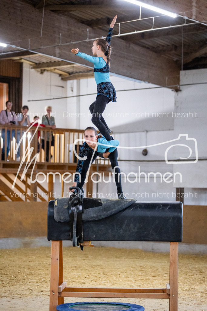 Holzpferd-048 | MomenTaufnahmen Pferdesportfotos