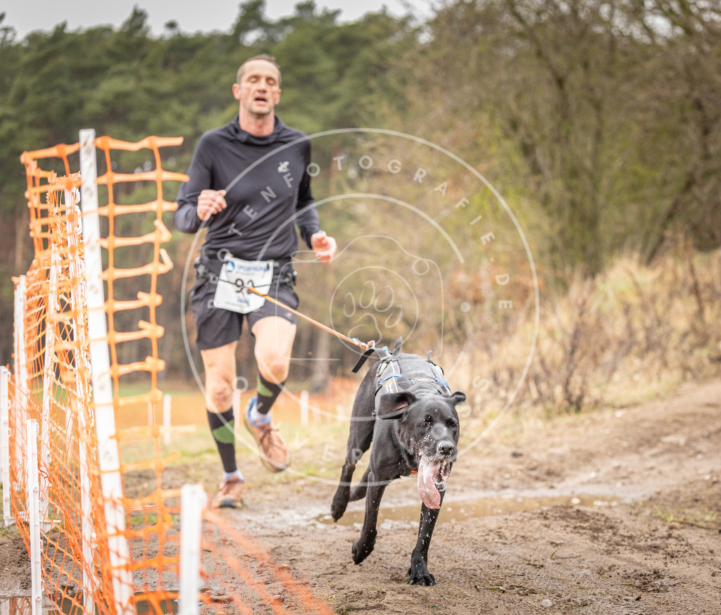 DV3A0410 | Hundefotografie, Tierfotograf, Pfotenfotografie, Fotoshooting Hund, Hunde Portrait, Hundesport, Hundeportraits, Heideshooting, Hunde, Sportfotograf, Hundefotograf, Turnierhundsport, THS,  - Realisiert mit Pictrs.com