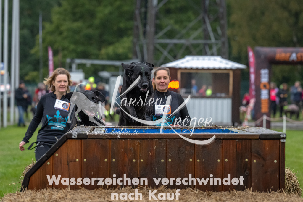 1109-93695 | kk-dogfotos