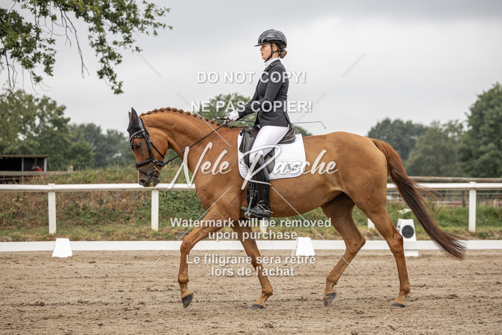 nelerasche_DrL_Ede_258 | nelerasche