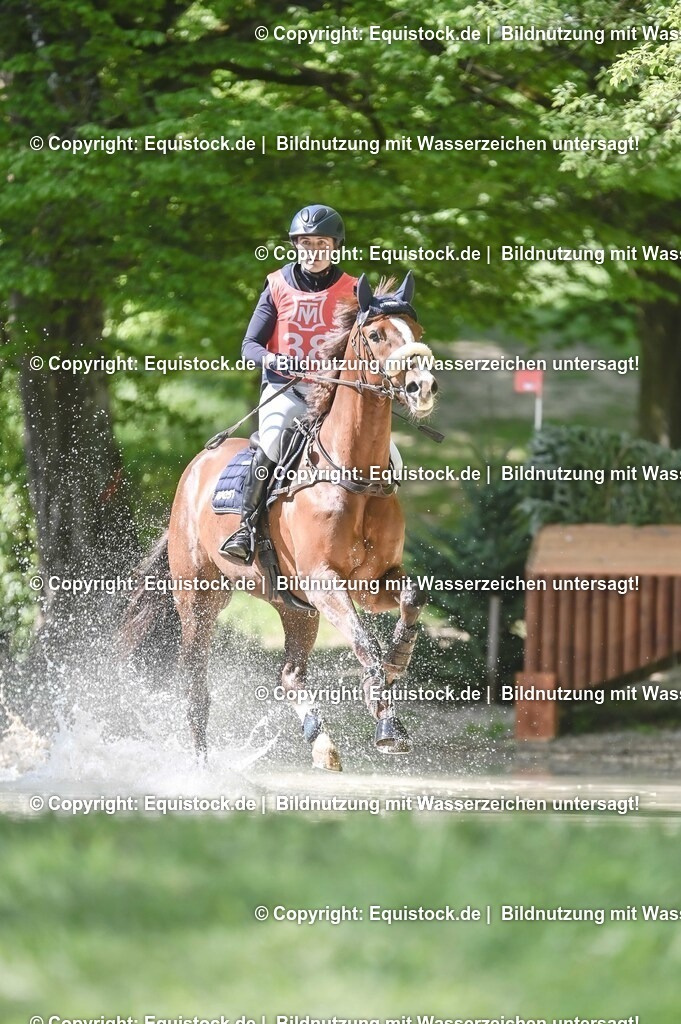 20250517_CCI2_Gelände_0977 | Foto: Thomas Hartig