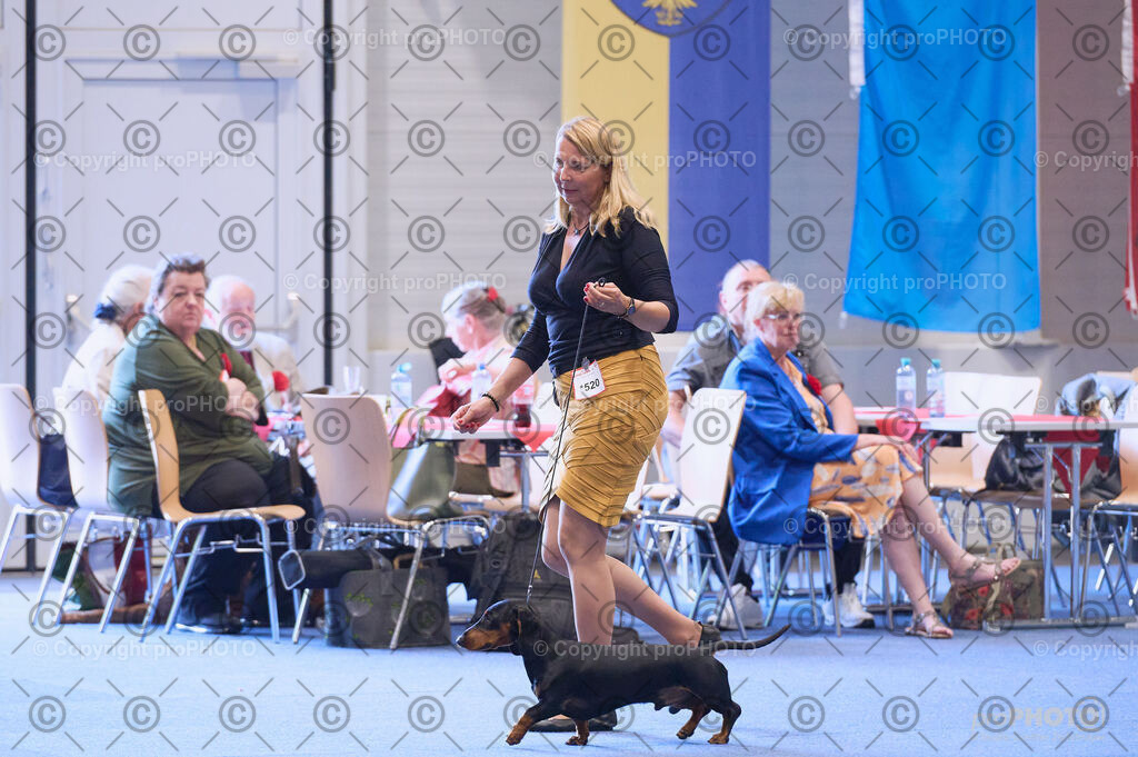 202406_ÖKV-IHA-Tulln24_DSC_3889 | proPHOTO - Realisiert mit Pictrs.com