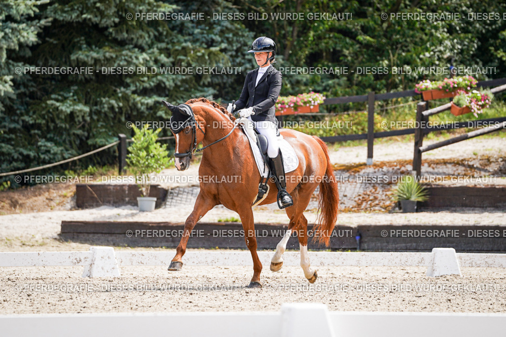 DSC09989 | Pferdegrafie