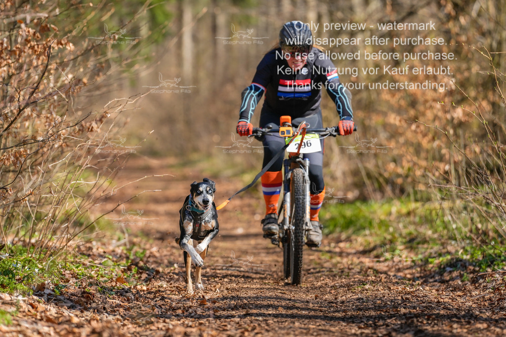 Bike_kurz_So-37 | stephaniefillaphotographie - Realisiert mit Pictrs.com