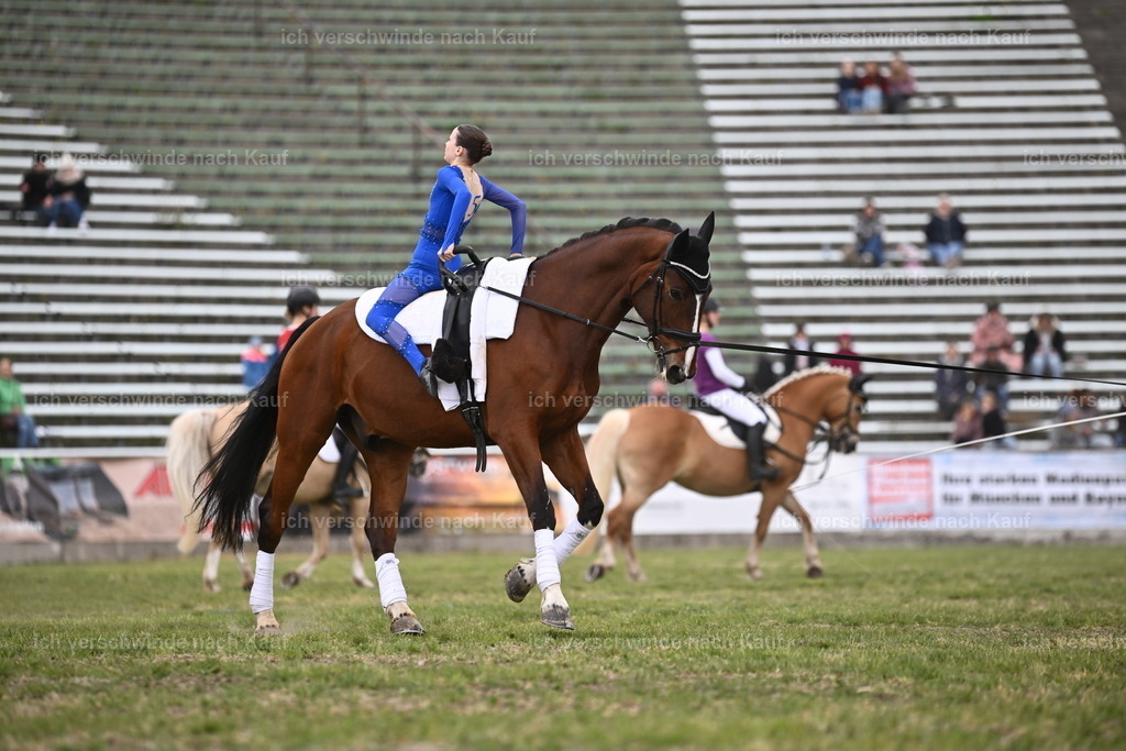 PI26_Show_Sara_Landvogt_226_1659.JPG | working equitationturnier fotograf videograf stoibphotography marixx film working equitation deutschland reitsport turnierfotografie eventfotografie equestrian events