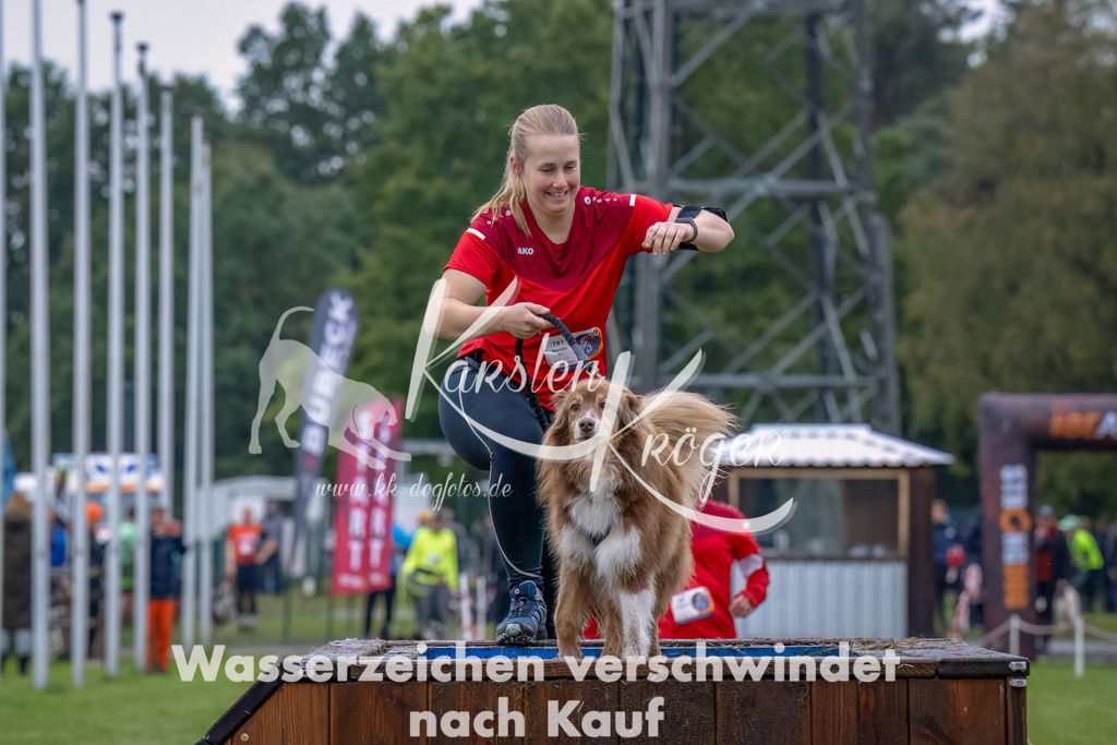 1217--4 | kk-dogfotos