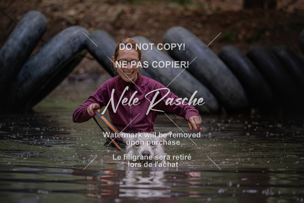 nelerasche_SaWingst1400-1500_37 | nelerasche