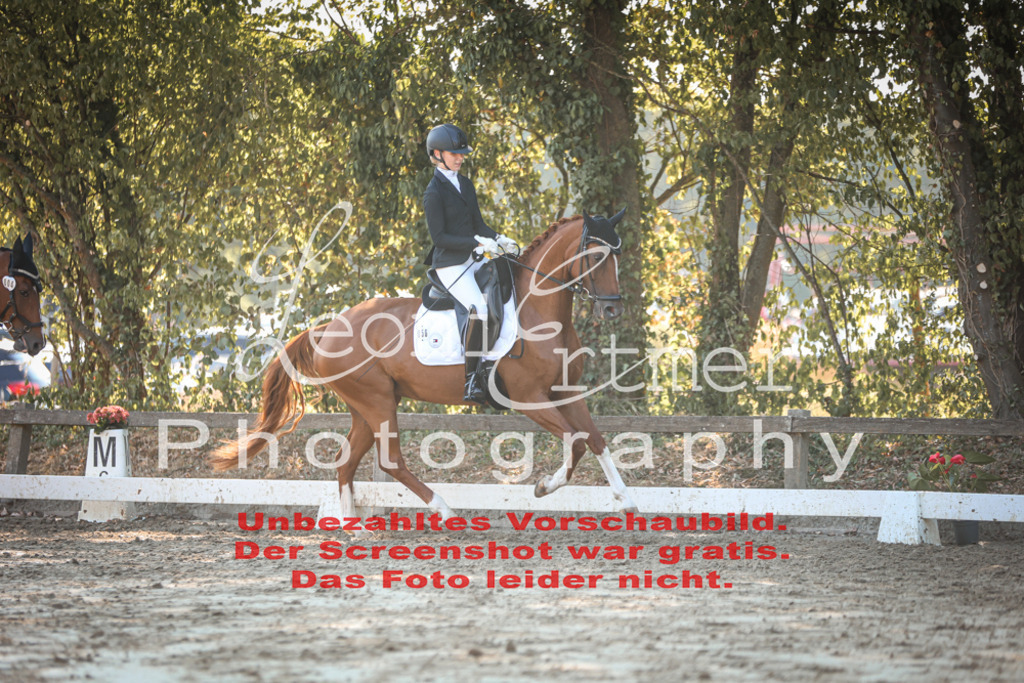 02.SaDrA00226 | Leoni Ertmer Photography - Realisiert mit Pictrs.com