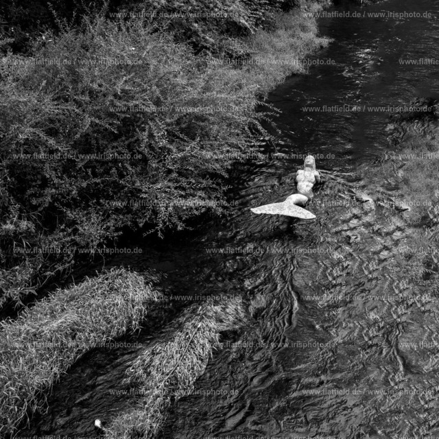 Ruhrnixe | Gesehen in Arnsberg