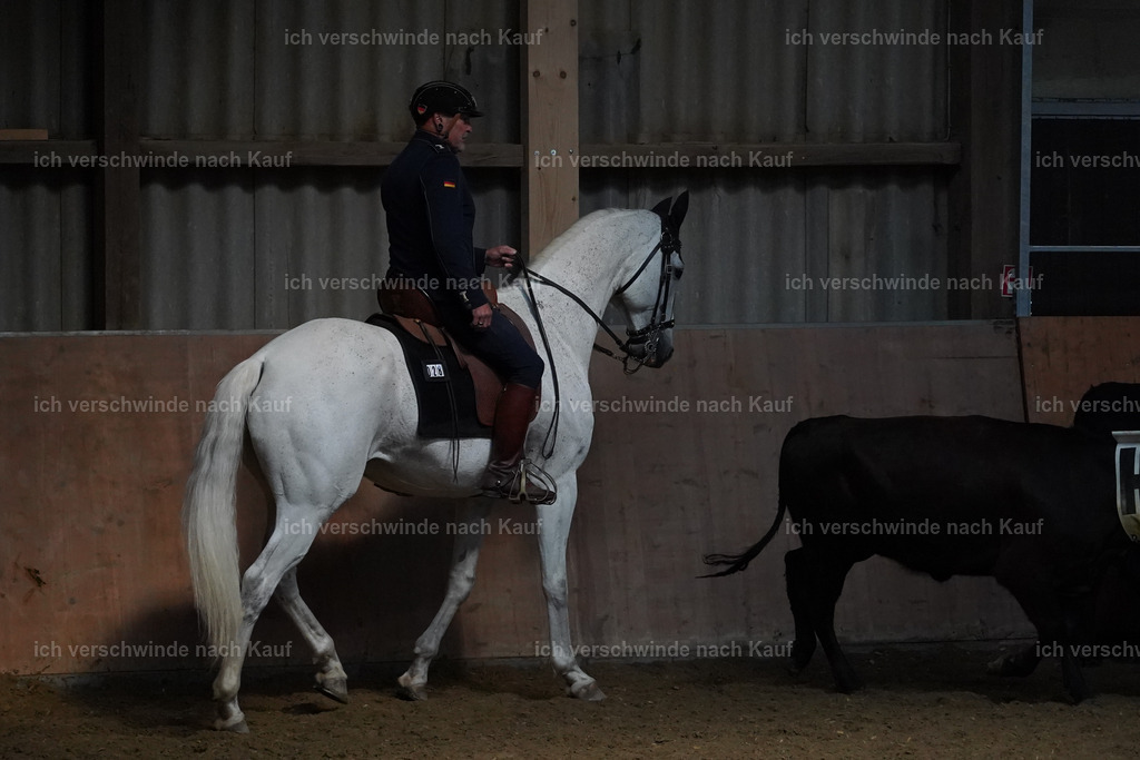 KlasseS_Lucie (140) | working equitationturnier fotograf videograf stoibphotography marixx film working equitation deutschland reitsport turnierfotografie eventfotografie equestrian events