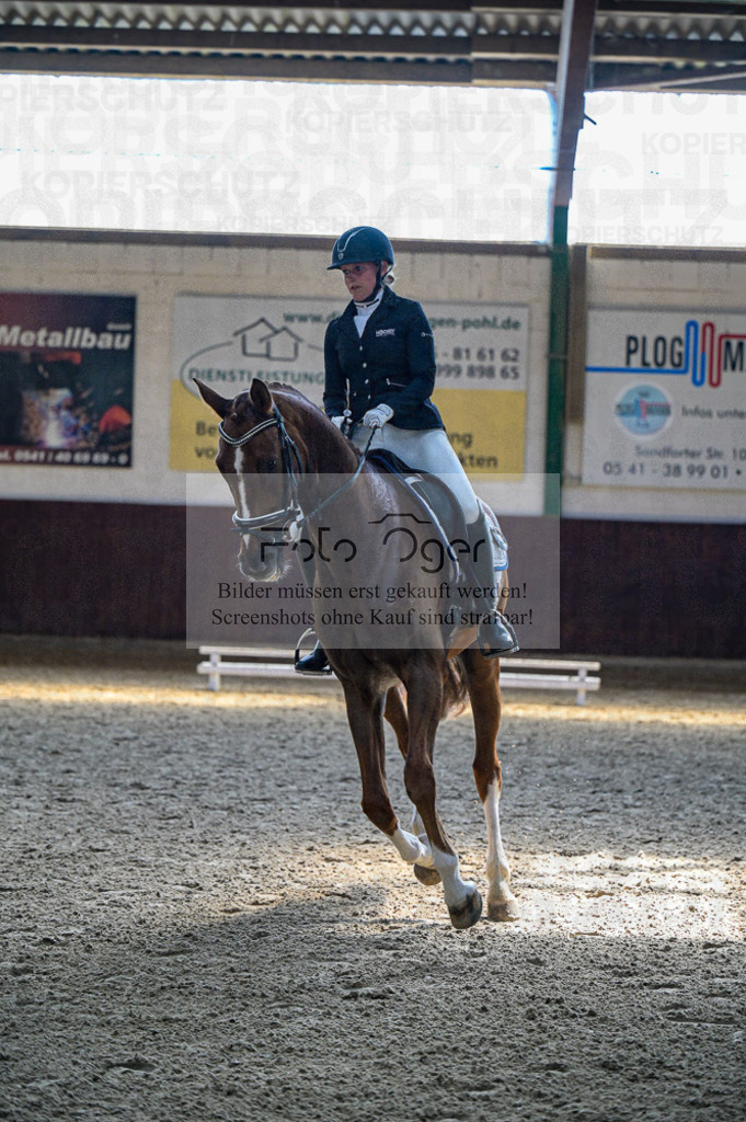 Reitturnier Voxtrup | Entdecke hochwertige Reitturnierfotos von Foto Oger. Professionell, emotional und authentisch – jetzt Lieblingsmomente im Shop bestellen.Deutschlandweite Turnierfotografie. - Realisiert mit Pictrs.com