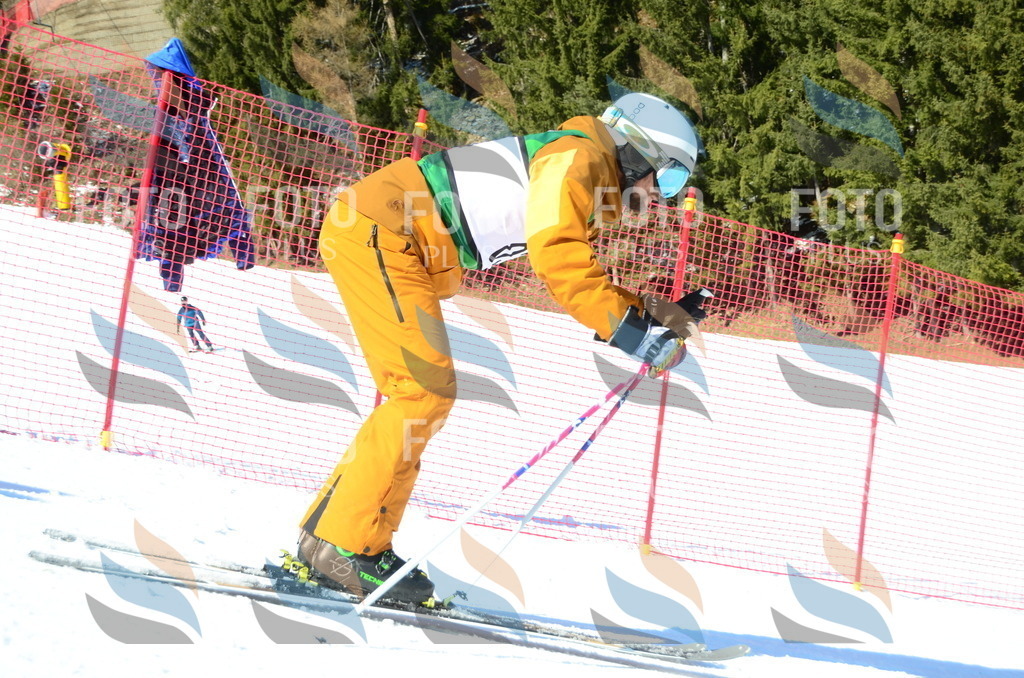 C6657 | holidayphoto