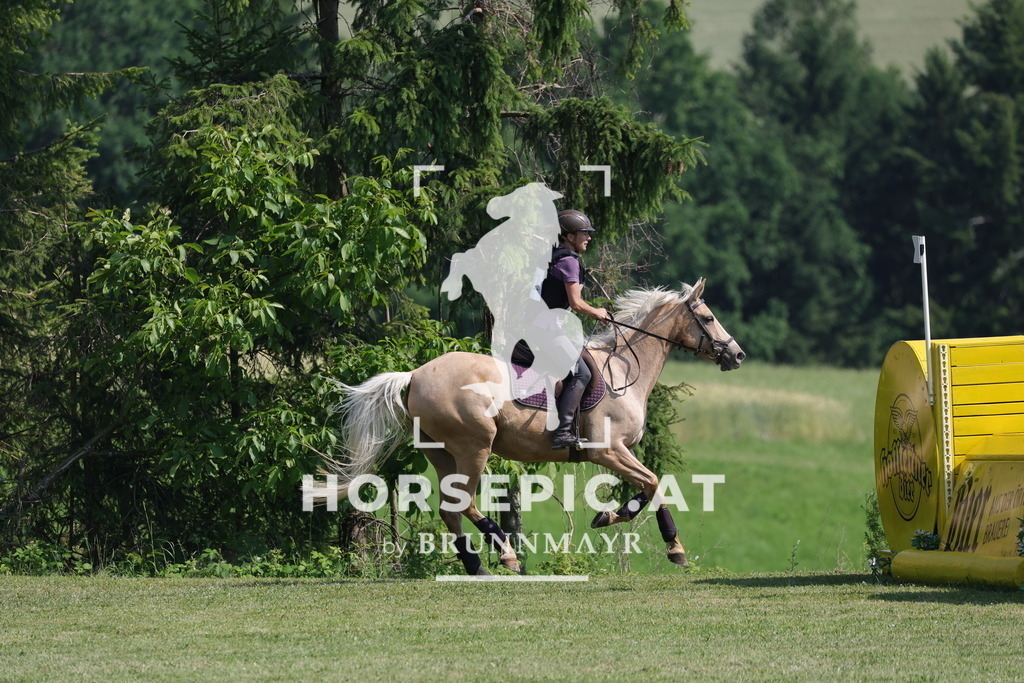 0P6A8918 | Willkommen bei Brunnmayr - Design & Fotografie – Ihrem Spezialisten für Reitturniere und Pferdeveranstaltungen in Oberösterreich, Salzburg und Bayern! Seit über 17 Jahren sind wir leidenschaftlich dabei.