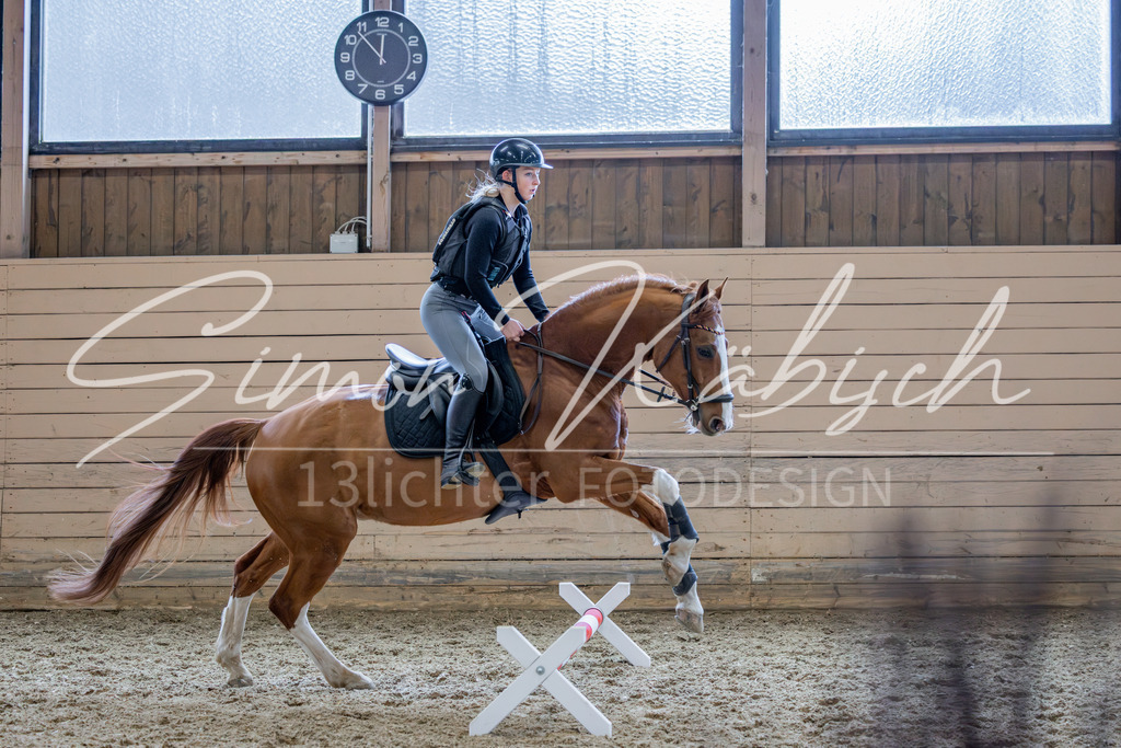 20260222-_3LI2165 | Tierfotografie Pferde, Hunde, Katzen, Haustiere.
Turnierfotografie Reitturniere, Reiten, Springreiten, Dressur in Hanau, dem Main-Kinzig-Kreis und dem Rhein-Main- Gebiet um Frankfurt