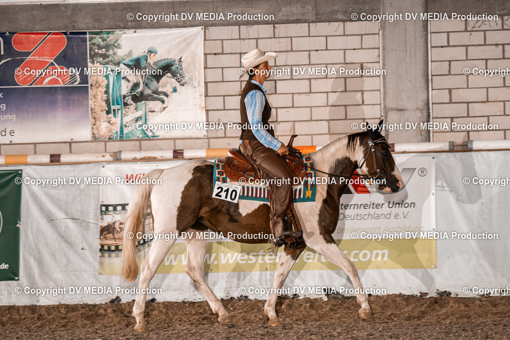 ZH200466 | dv-media-shop - Realisiert mit Pictrs.com