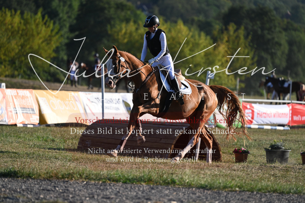 DSC_9128 | Pferde- und Turnierfotografie in Westsachsen. Pferdeportraits, Auftragszeichnungen und intuitive Kunst.