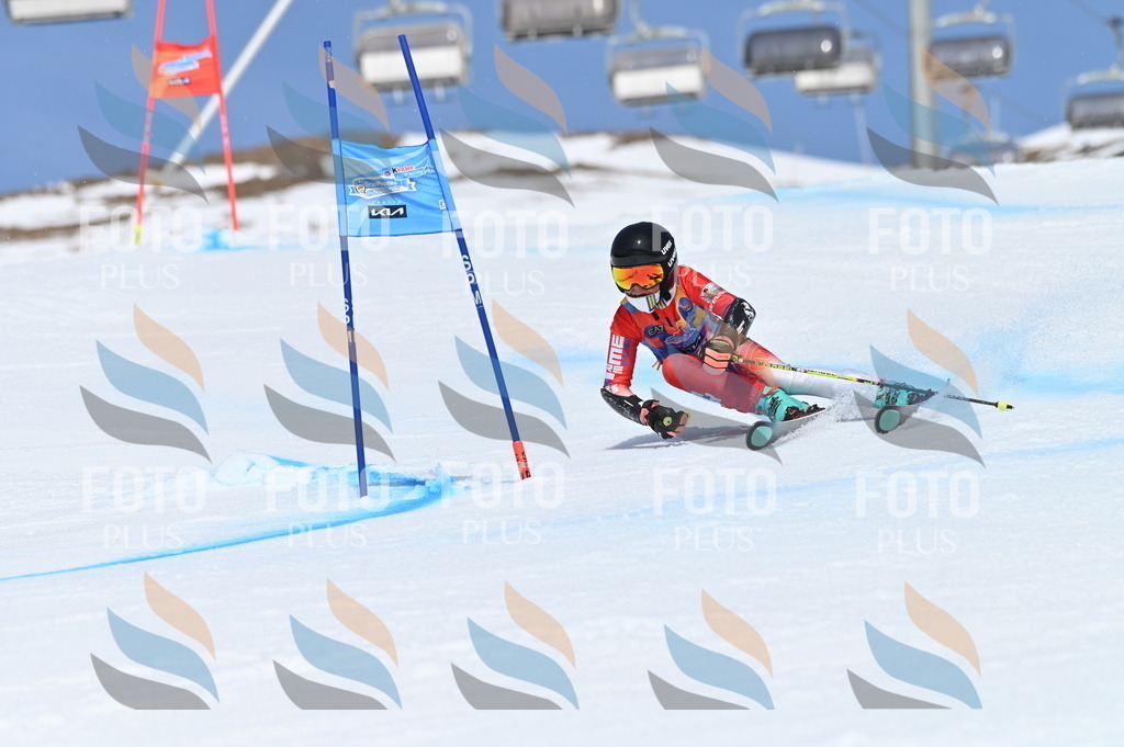 BGV_0786 | holidayphoto