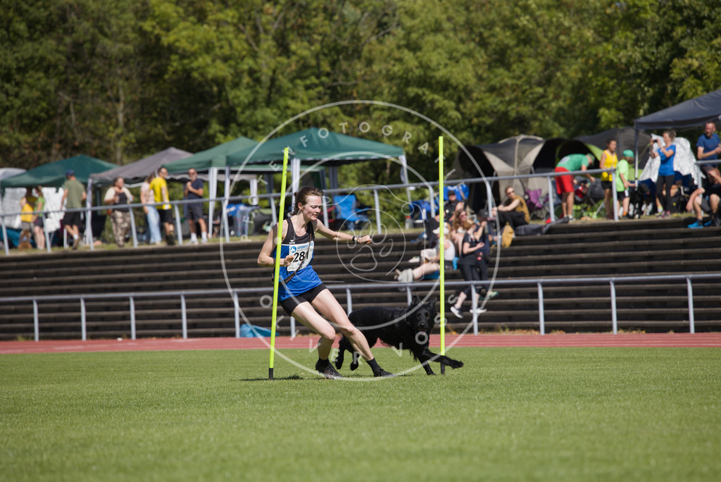 0L8A6827 | Hundefotografie, Tierfotograf, Pfotenfotografie, Fotoshooting Hund, Hunde Portrait, Hundesport, Hundeportraits, Heideshooting, Hunde, Sportfotograf, Hundefotograf, Turnierhundsport, THS,  - Realisiert mit Pictrs.com