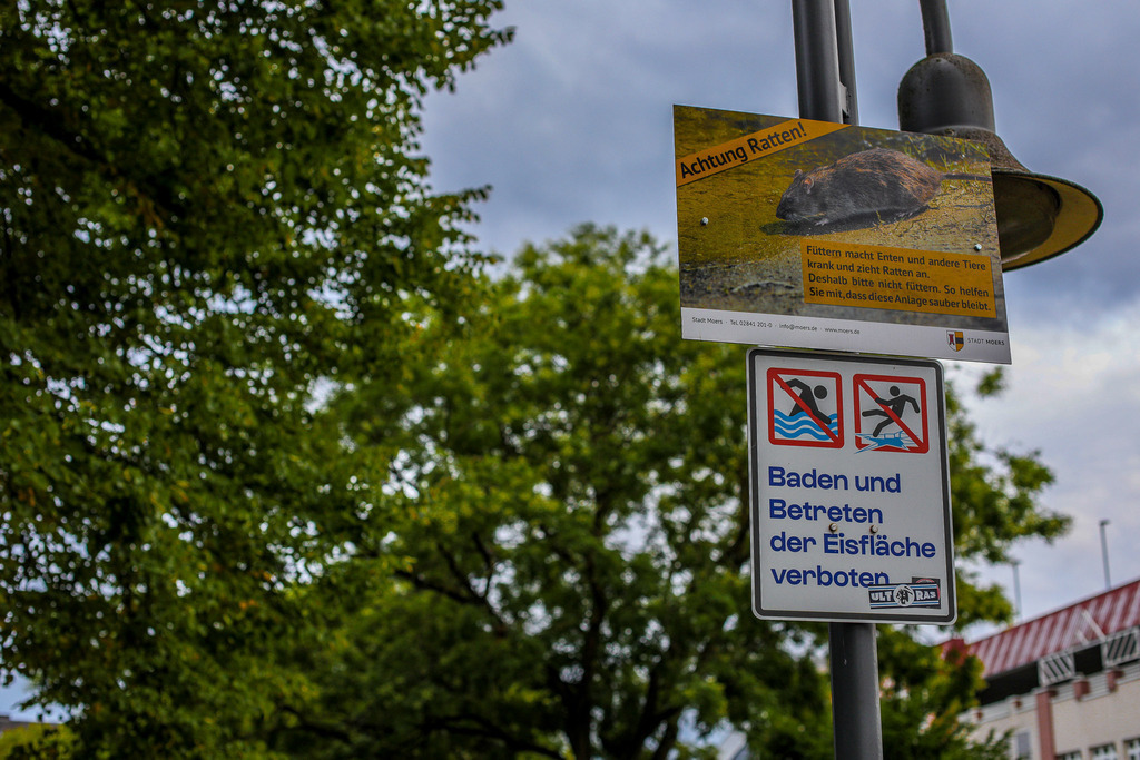 Moers_Stadtrundgang_070825_50 | Bildergalerie von Sport-Ereignissen aber auch von weiteren spannenden Dingen - nicht nur vom Niederrhein. In Anlehnung an den bekannten Spruch von Hanns Dieter Hüsch heißt das Motto: "Niederrhein ist überall".  - Realisiert mit Pictrs.com