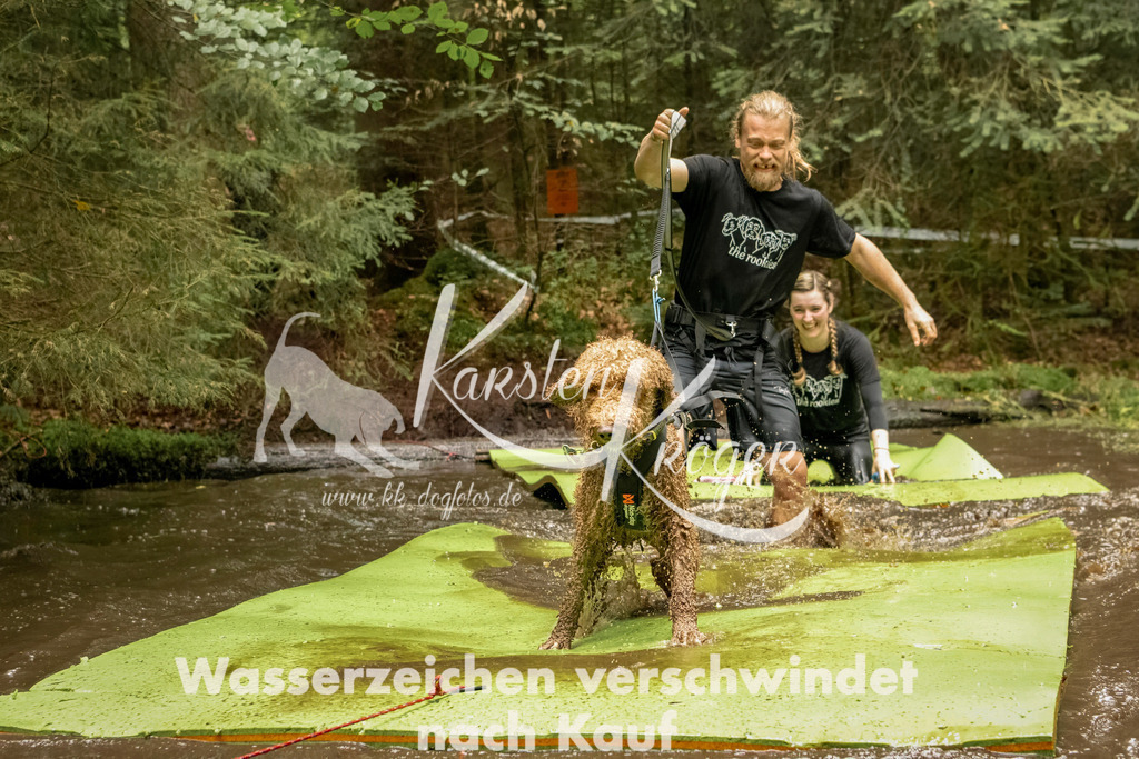 1217_ZZ93684-Bearbeitet | kk-dogfotos