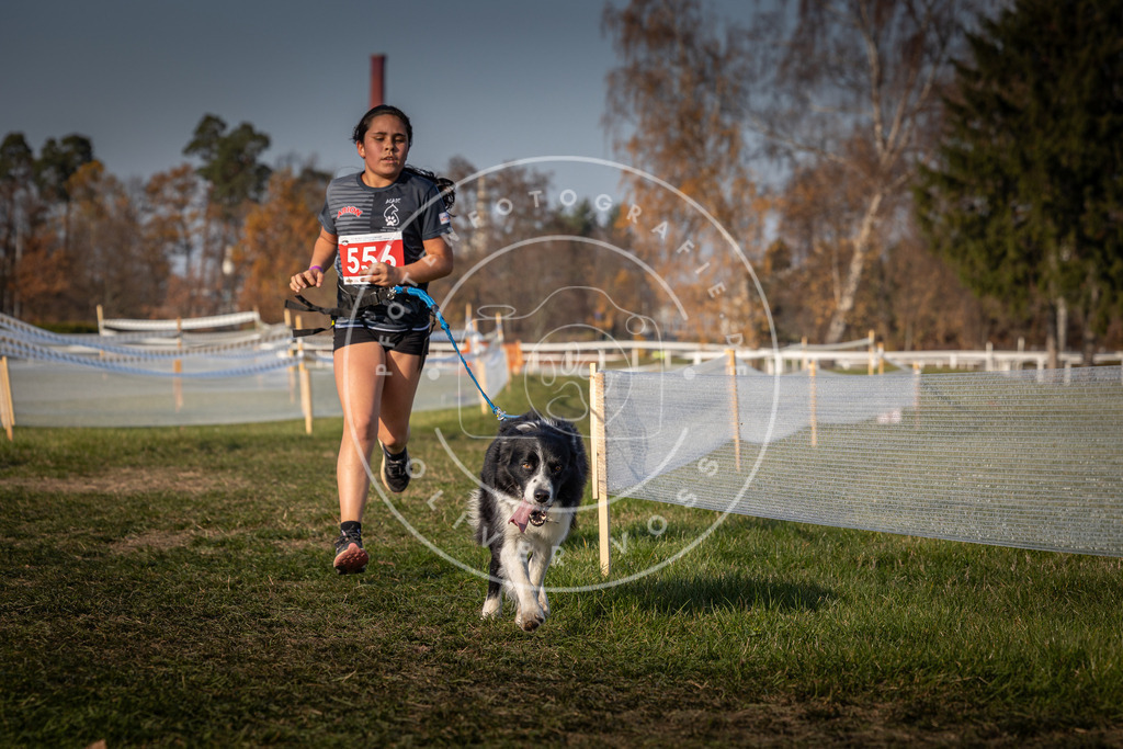 CaniXpix_0L8A9417 | Hundefotografie, Tierfotograf, Pfotenfotografie, Fotoshooting Hund, Hunde Portrait, Hundesport, Hundeportraits, Heideshooting, Hunde, Sportfotograf, Hundefotograf, Turnierhundsport, THS,  - Realisiert mit Pictrs.com